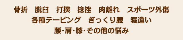 骨折、脱臼、打撲、捻挫、肉離れ、スポーツ外傷、各種テーピング、ぎっくり腰、寝違い、腰･肩･膝･その他の悩み